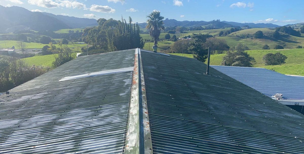 Old dark green corrugated iron roof with rusty ridge capping, looking out over farmland