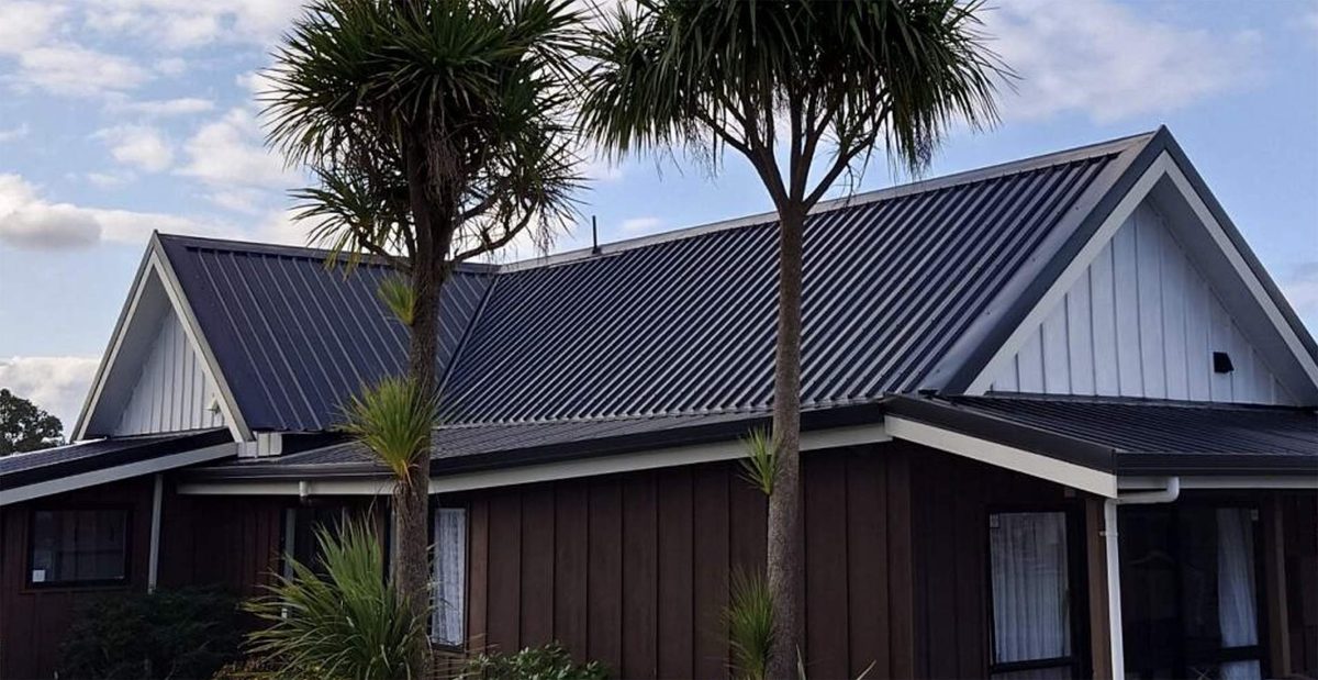 House with a black ribbed steel roof, white gable ends and dark board-and-batten walls behind two cabbage trees