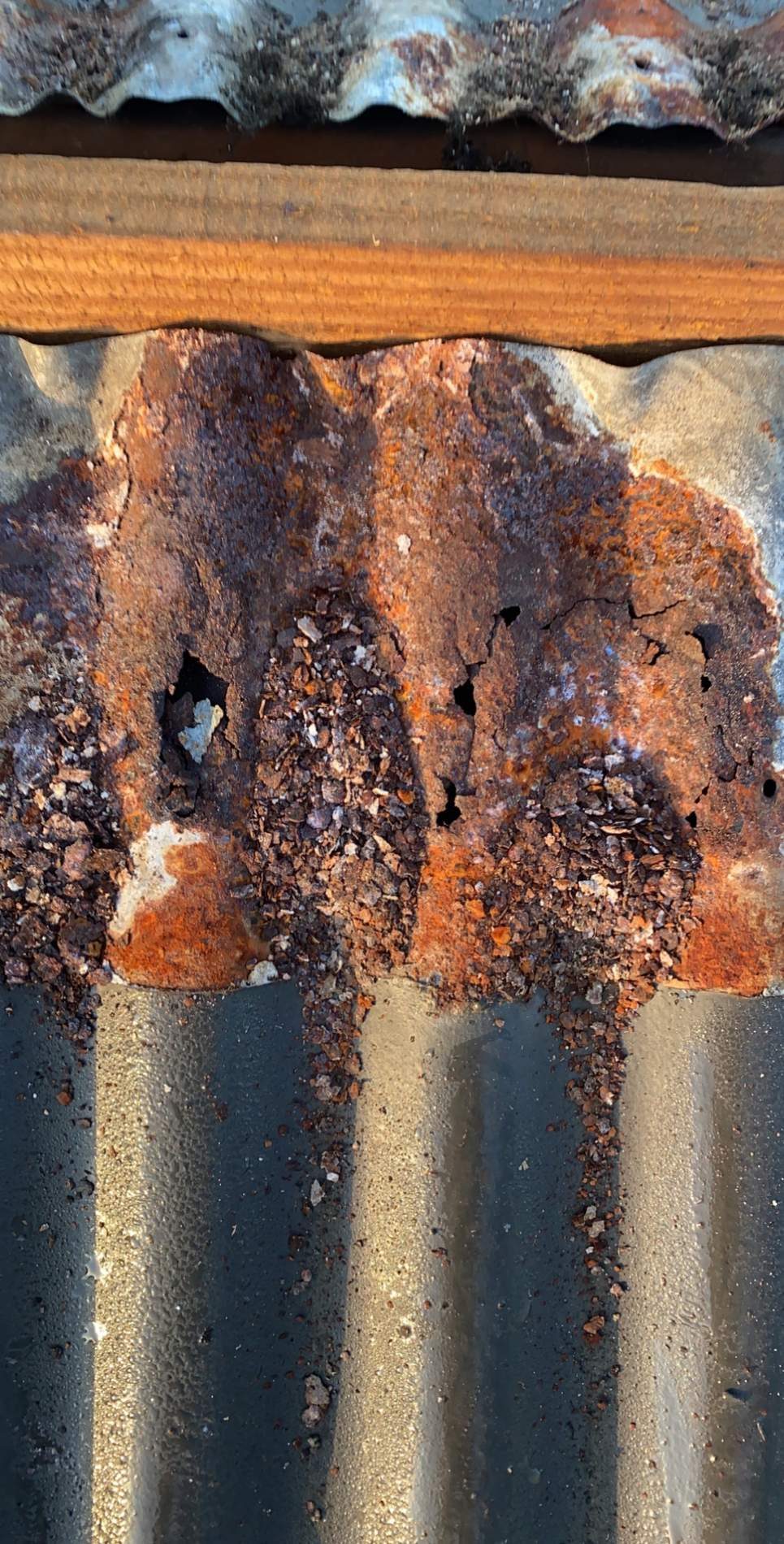 Close-up of corrugated iron rusted through into holes beneath a timber purlin