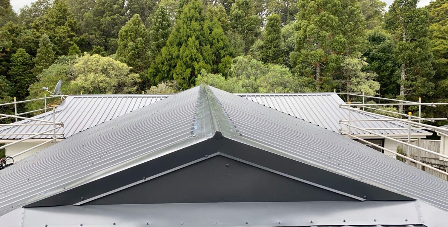 Mid grey ribbed steel roof with a dark gablet where the hips meet, native bush behind